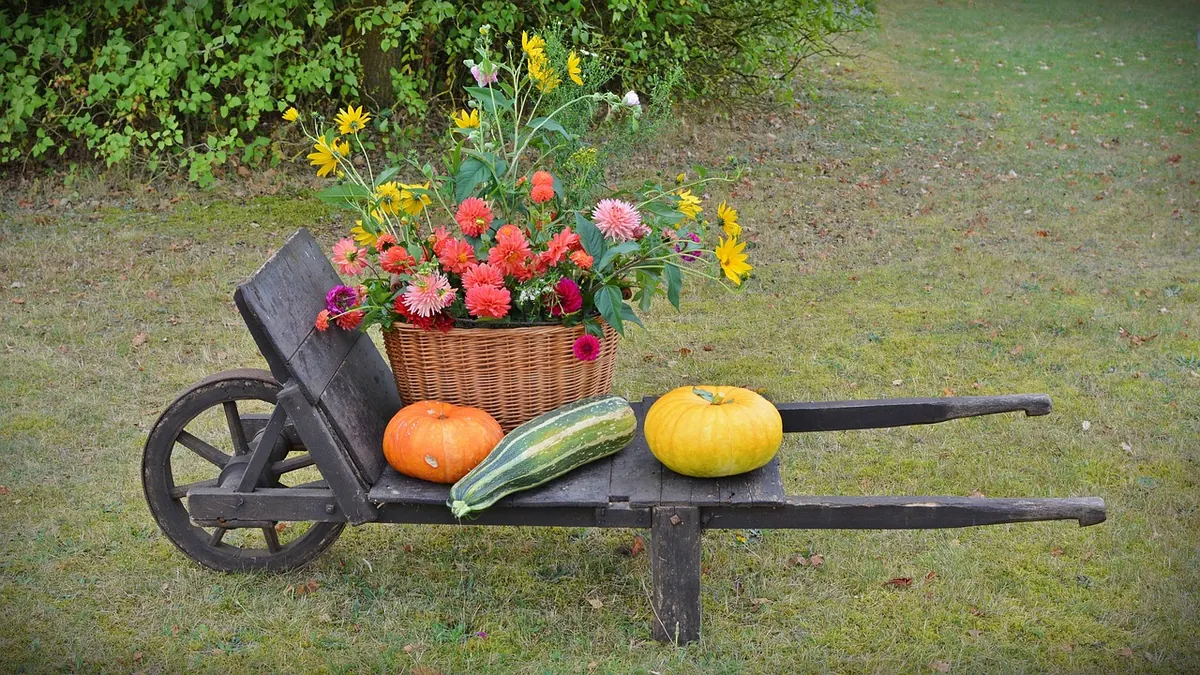 Seasonal Pantry Reset: What to Stock and Use in Spring, Summer, Fall, and Winter